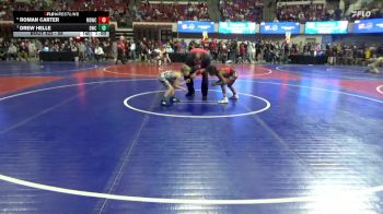 58 lbs Quarterfinal - Drew Helle, Dillon Wrestling Club vs Roman Carter, Mat Demon Wrestling Club
