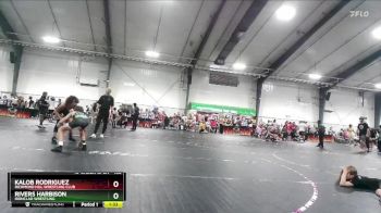 108 lbs 3rd Place Match - Kalob Rodriguez, Richmond Hill Wrestling Club vs Rivers Harbison, Ironclad Wrestling