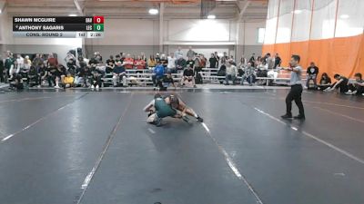 133 lbs Cons. Round 2 - Anthony Sagaris, Lake Erie vs Shawn McGuire, Davenport