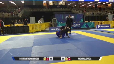 Andy Raul Garcia vs Robert Anthony Surace II 2025 Pan Jiu Jitsu IBJJF Championship