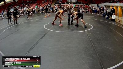 96 lbs Round 4 (8 Team) - Landon Lipscomb-Wilson, Neighborhood vs Stephen Cheeks, Rogue WC