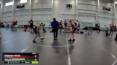 110 lbs Finals (2 Team) - Finnegan Meade, WV Wild vs Dallas Rosenbarger, Contenders WA Blue