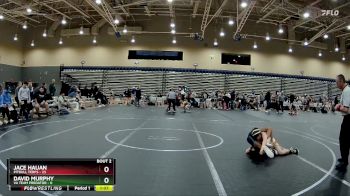 88 lbs Round 1 (4 Team) - David Murphy, VA Team Predator vs Jace Hauan, PitBull Terps