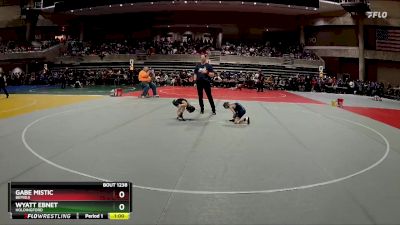 50 lbs Quarterfinal - Gabe Mistic, Bemidji vs Wyatt Ebnet, Holdingford