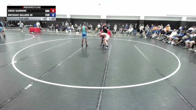 113 lbs Cruz Gannon, Iowa vs Michiah Gillins Jr, Florida