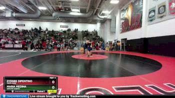 235 lbs Champ. Round 1 - Sydnee DiPentino, Vista Peak vs Maria Medina, Denver North