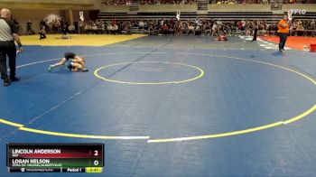 45 lbs Champ. Round 1 - Logan Nelson, STMA (St. Michael/Albertville) vs Lincoln Anderson, DGF