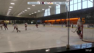 Replay: Home - 2023 Steelers U18 AA vs Fire White U18 AA | Oct 6 @ 4 PM