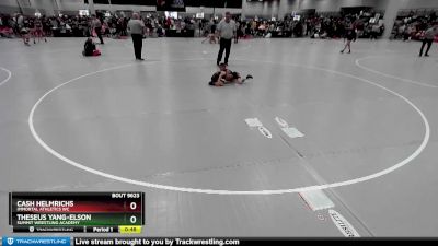 49 lbs Cons. Round 4 - Theseus Yang-Elson, Summit Wrestling Academy vs Cash Helmrichs, Immortal Athletics WC