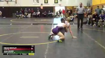 138 lbs 5th Place Match - Dom Mudry, North Royalton, OH vs Micah Bentley, Stow, OH