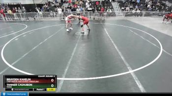 165 lbs Champ. Round 2 - Brayden Kahelin, Lake Gibson High School Wrestling vs Tanner Casaubon, Texas