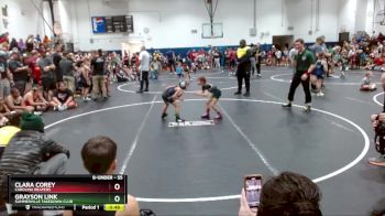 55 lbs Champ. Round 1 - Clara Corey, Carolina Reapers vs Grayson Link, Summerville Takedown Club