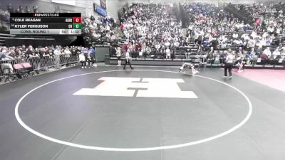 6A 132 lbs Cons. Round 1 - Kyler Ferguson, Copper Hills vs Cole Reagan, Herriman