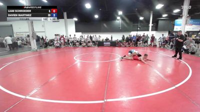 110 lbs Liam Schroeder, Illinois vs Davien Martinez, Colorado