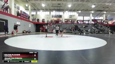 133 lbs Cons. Round 3 - Zimani Malomboza, Indiana Tech vs Kolton Ploughe, Manchester