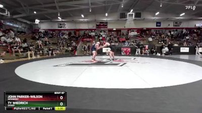 197 lbs Champ. Round 1 - John Parker-Wilson, Newberry vs Ty Wiedrich, UMary