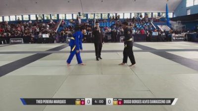 DIOGO BORGES ALVES DAMASCENO JUN vs THEO PEREIRA MARQUES 2026 Carlson Gracie