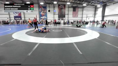 165 lbs Quarterfinal - Brandon Pantaleo, FL vs Aaron Beranek, OH