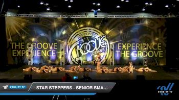 Star Steppers - Senior Small Contemporary/ Lyrical [2019 Senior - Contemporary/Lyrical - Small Day 2] 2019 Encore Championships Houston D1 D2