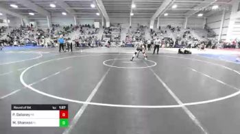 145 lbs Round Of 64 - Palmer Delaney, PA vs Michael Shannon, FL
