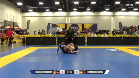 Emmanuel Nunez vs Stuart Gregory Carmody 2024 World IBJJF Jiu-Jitsu No-Gi Championship