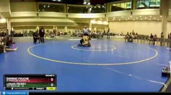 138 lbs Round 5 (10 Team) - Dominic Fouche, D1 Wrestling Academy vs Logan Mickey, Yeti Wrestling