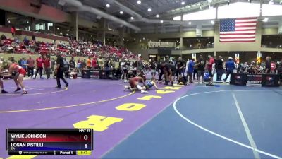 138 lbs Cons. Round 4 - Wylie Johnson, IA vs Logan Pistilli, CA