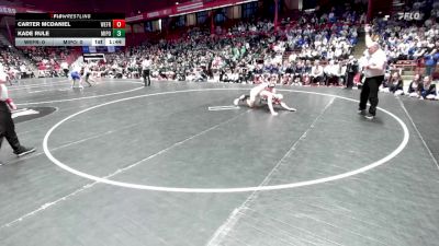 175 lbs D1/d2/d3 Finals (sat 3:00 P.m.) - Carter McDaniel, Weyauwega-Fremont vs Kade Rule, Mineral Point