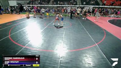 80 lbs Quarterfinal - Dominic Marmolejo, Nevada vs Gabe Wolfley, Idaho