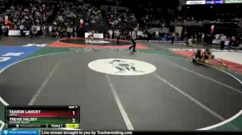 Quarterfinal - Trevis Halsey, Elkhorn Valley vs Taaron Lavicky, Axtell