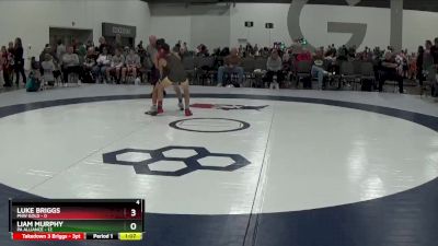85 lbs Round 4 (6 Team) - Liam Murphy, PA Alliance vs Luke Briggs, PNW Gold