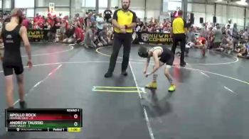 65 lbs Round 1 (6 Team) - Apollo Rock, Missouri Gold vs Andrew Taussig, Steel Valley