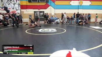 126 lbs Cons. Round 1 - Cameron Trujillo, South vs Trenton Mestas, Valley