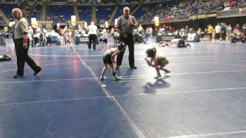 50 lbs Quarterfinal - Maci Snyder, Bald Eagle Area vs Aleena DeMonte, Norwin