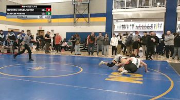 152 lbs Pigtails - Dominic Angelicchio, Greater Latrobe vs Mason Purvis, Seneca Valley