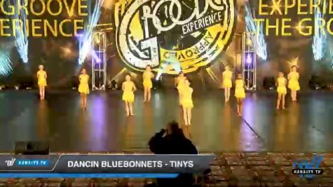 Dancin Bluebonnets - Tinys [2020 Tiny - Contemporary/Lyrical Day 2] 2020 Encore Championships: Houston DI & DII