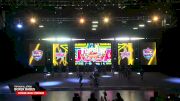 Top Gun All Stars - Boxer Babes [2026 D1 Mini Level 1 Medium Day 2] 2026 US Open Cheerleading & Dance Championship