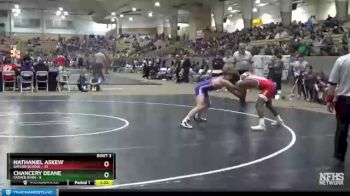 132 lbs Placement (4 Team) - Chancery Deane, Father Ryan vs Nathaniel Askew, Baylor School