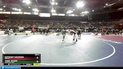 195 lbs Quarterfinal - Tarik Dzanic, Mountain View vs Anthony Hackman, Shelley