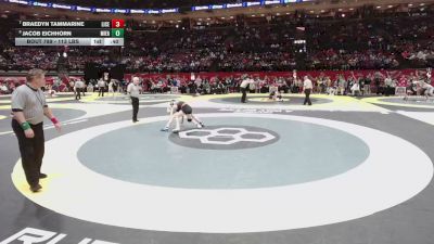 113 lbs Cons. Quarters - Braedyn Tammarine, Liberty Center vs Jacob Eichhorn, Miami East