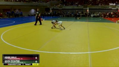 60 lbs Placement (4 Team) - Gavin McAlpine, STMA (St. Michael/Albertville) vs Asher Wills, Z-M (Zumbrota/Mazeppa)