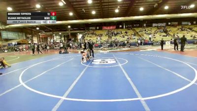 85 lbs 3rd Place Match - Brenner Tippets, Team Champs vs Elijah Reynolds, Windy City Wrestling Club
