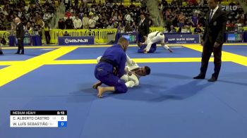 CARLOS ALBERTO CASTRO DE ARAÚJO vs WELLINGTON LUÍS SEBASTIÃO 2024 World Jiu-Jitsu IBJJF Championship