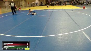 95 lbs Quarterfinals (8 Team) - Jake Rodriguez, Brainerd vs Aidan Medek, Pierz