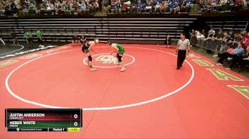 175 lbs Quarterfinal - Justin Anderson, Cedar City vs Heber White, Provo