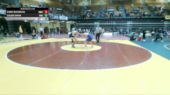 174 lbs Cons. Round 3 - Caleb Davis, York vs Cash Bachicha, New Mexico Highlands