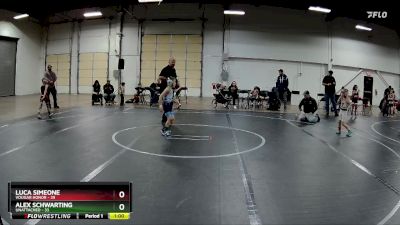 44-48 lbs Quarterfinal - Luca Simeone, Vougar Honor vs Alex Schwarting, Unattached