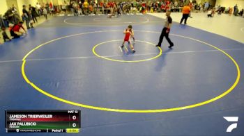 65B Round 3 - Jameson Trierweiler, TMBWWG vs Jax Palubicki, Perham