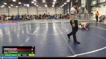 115 lbs Round 1 (6 Team) - Ray Fitzgerald, PA Blue vs Aaron Ellison, NCWAY National Team