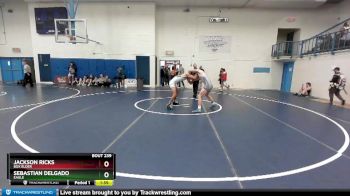 138 lbs Champ. Round 2 - Jackson Ricks, Box Elder vs Sebastian Delgado, Eagle
